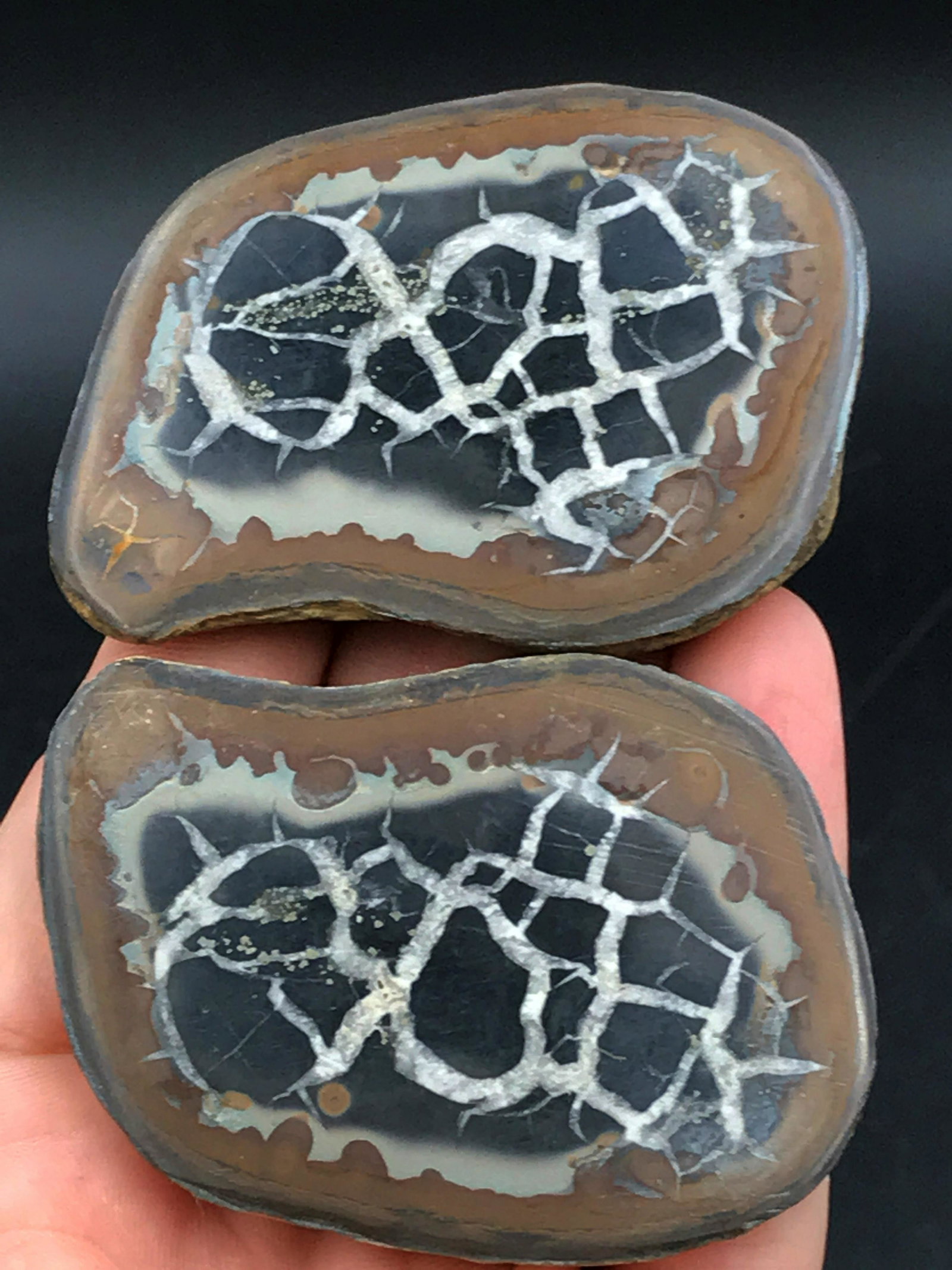 Rock, Crystal, Natural, Decor, Collectible, Septarian: Septarian, split and polished. Morocco