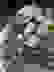 item-89043498=4