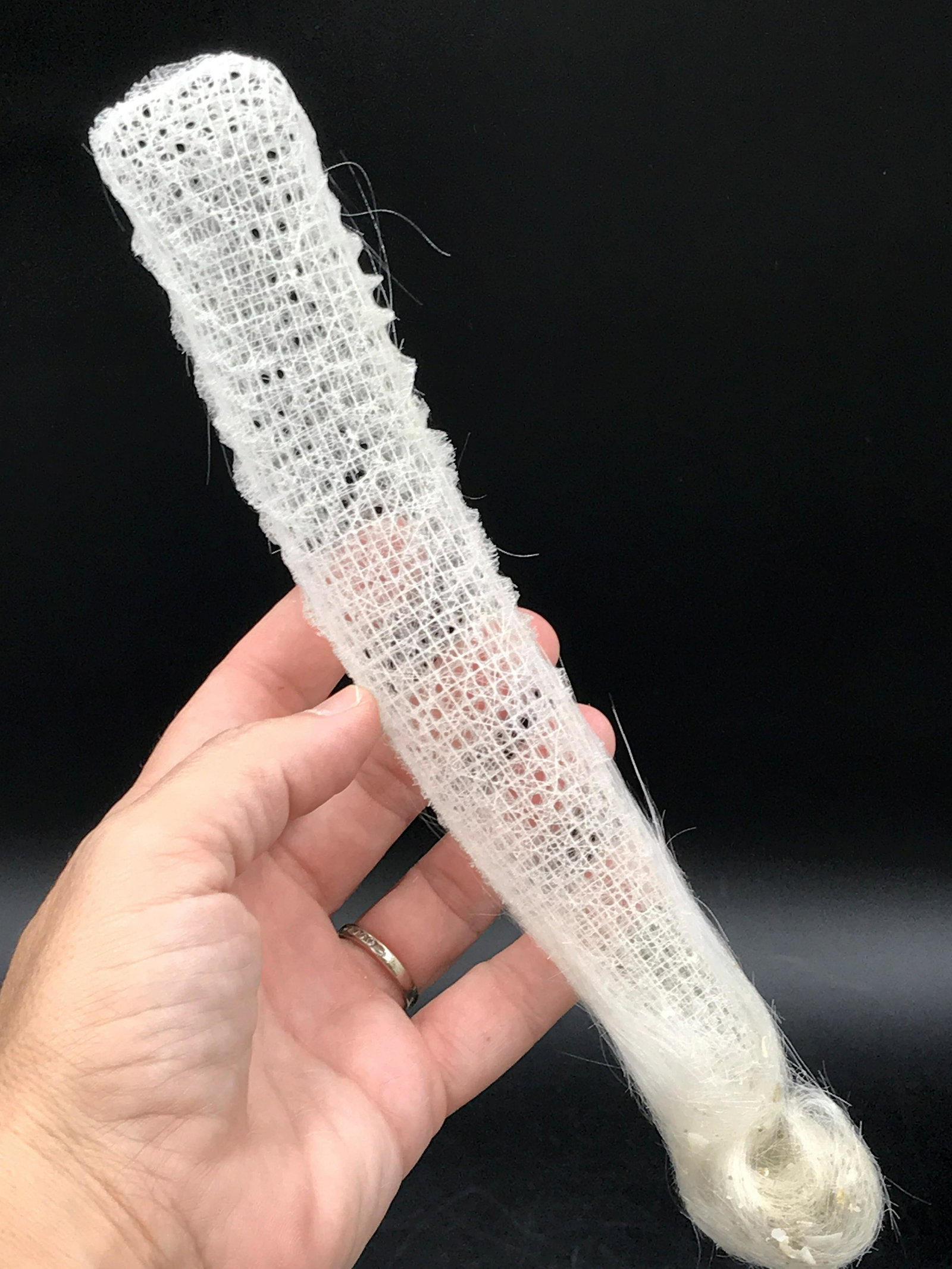 Seashell, Ocean, Beach, Natural, Decor, Collectible,: "Glass" sponge. Venus Flower Basket.
