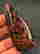 item-91712910=2