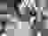 item-93308767=2