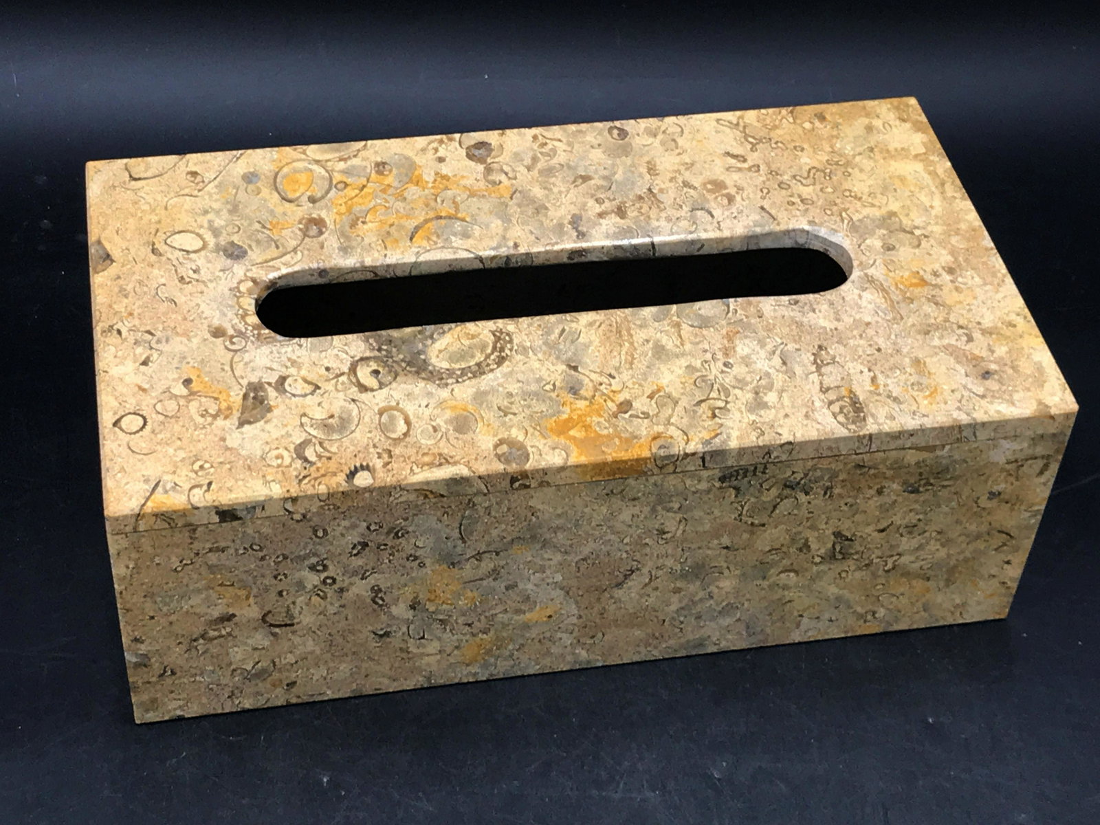 Rock, Fossil, Natural, Decor, Collectible, Gastropod: Fossil limestone tissue holder. Pakistan