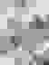 item-96566644=3