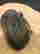 item-96571895=3