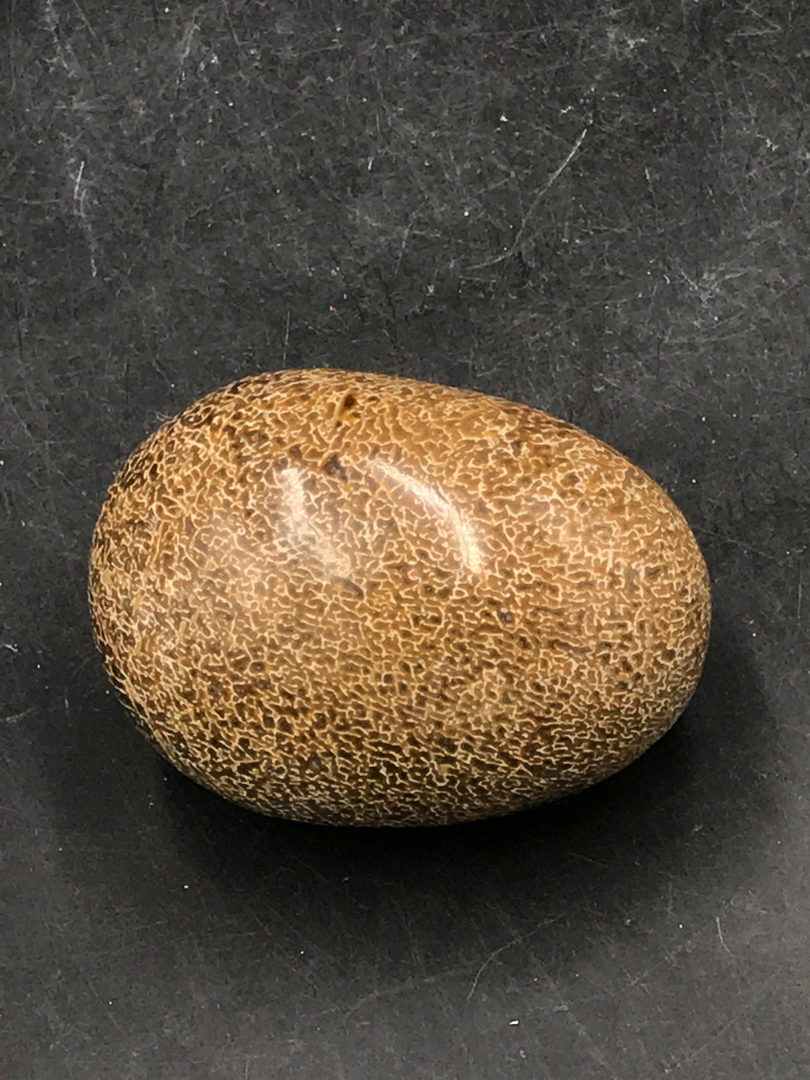 Rock, Crystal, Natural, Collectible, Carving, Egg: Dinosaur bone egg. Fluorescent! Morocco 14oz