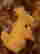 item-100128952=5