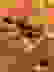 item-100129029=5