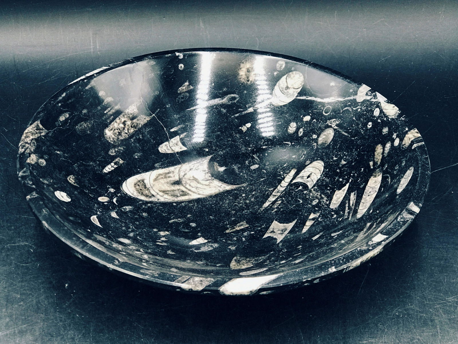 Orthoceras, Rock, Fossil, Natural, Collectible, Decor (1 of 4)