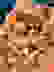 item-100129072=3