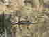 item-100129117=2