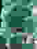 item-100129288=2
