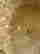 item-100129332=2