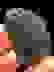 item-100129377=4