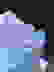 item-100129398=2