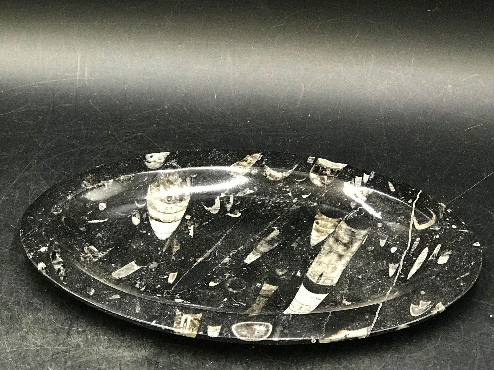 Orthoceras, Rock, Fossil, Natural, Collectible, Dish (1 of 3)