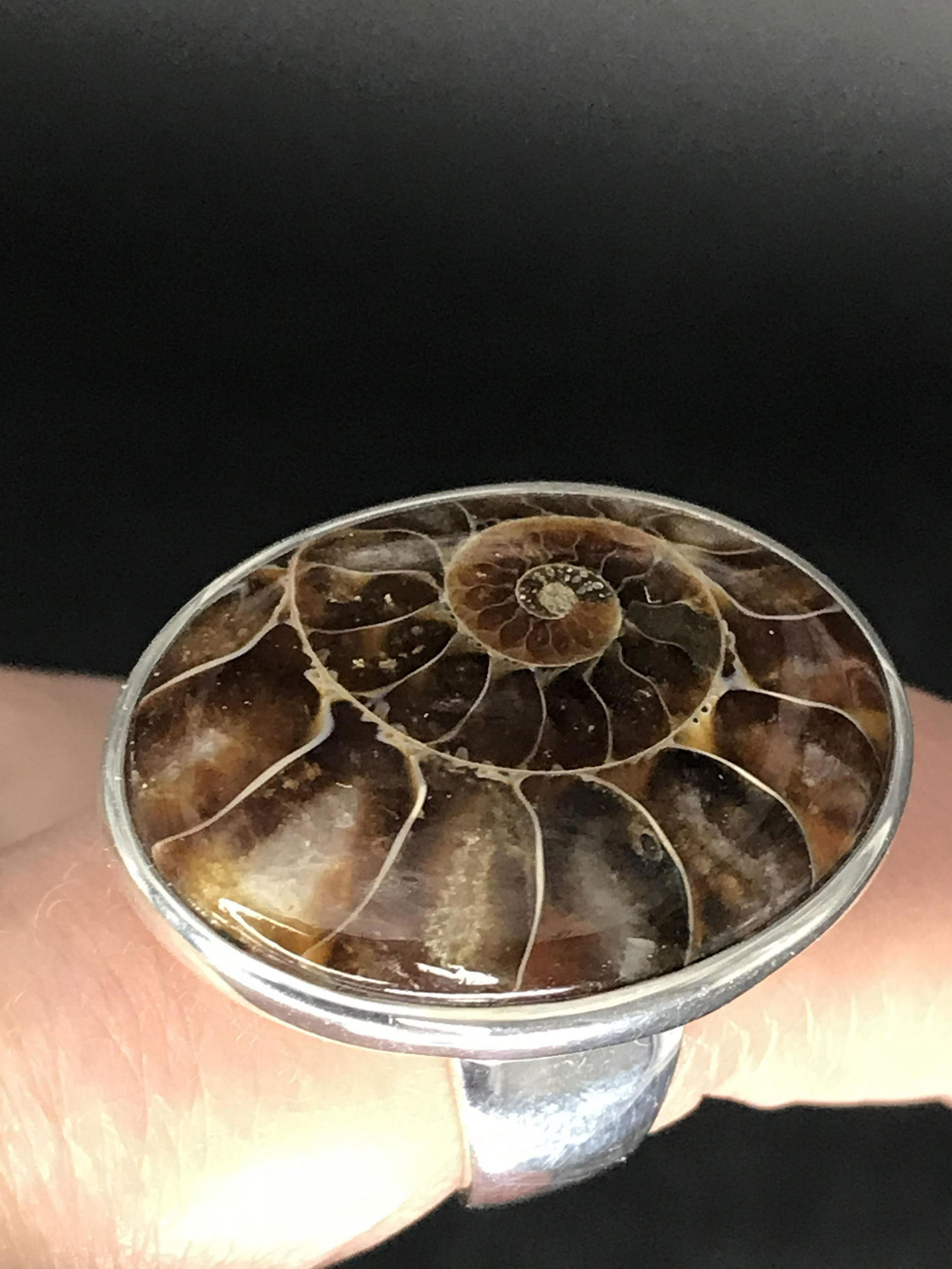 Rock, Fossil, Ammonite, Natural, Jewelry, Sterling (1 of 3)