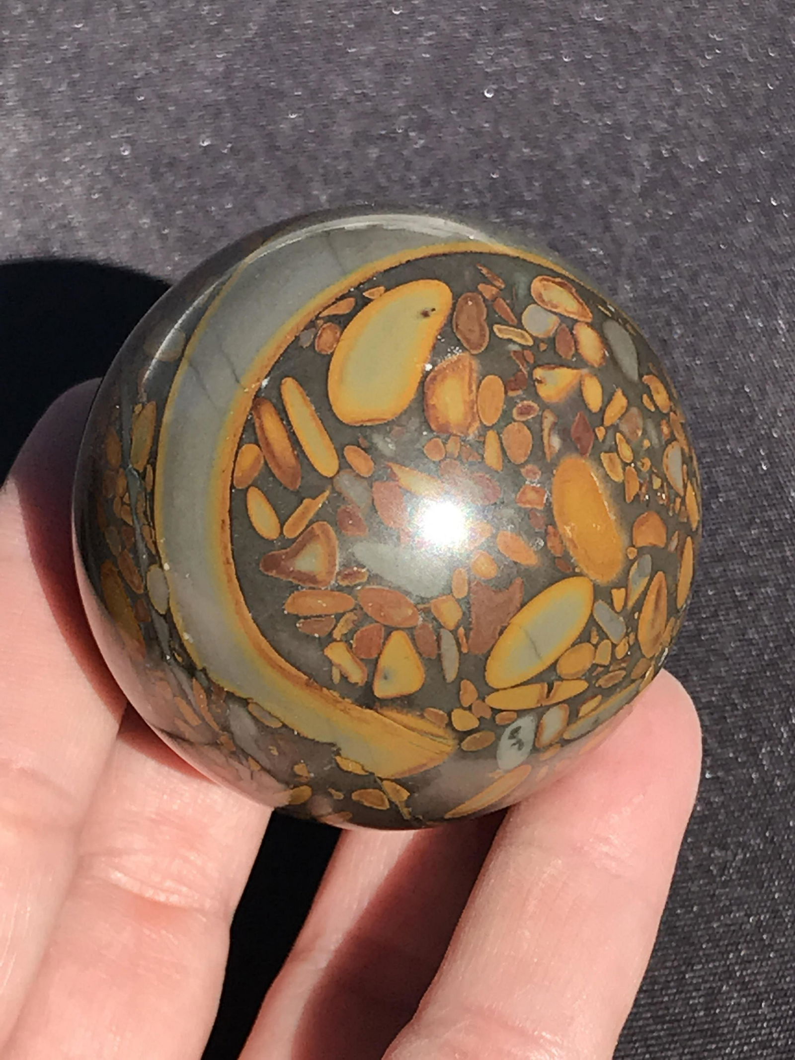 Rock, Fossil, Natural, Decor, Collectible, Carving, (1 of 4)