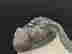 item-103774667=2