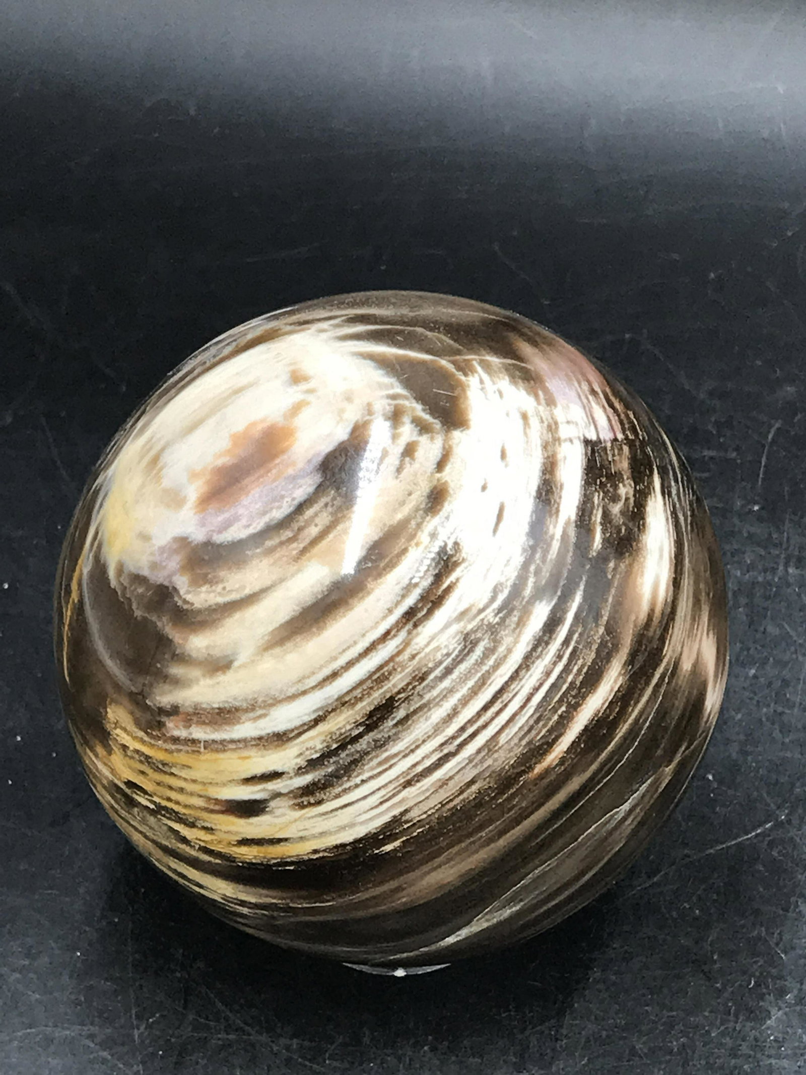 Petrified Wood, Fossil, Rock, Natural, Decor,: Petrified Wood Sphere Triassic ~225 M.Y.O. Madagascar