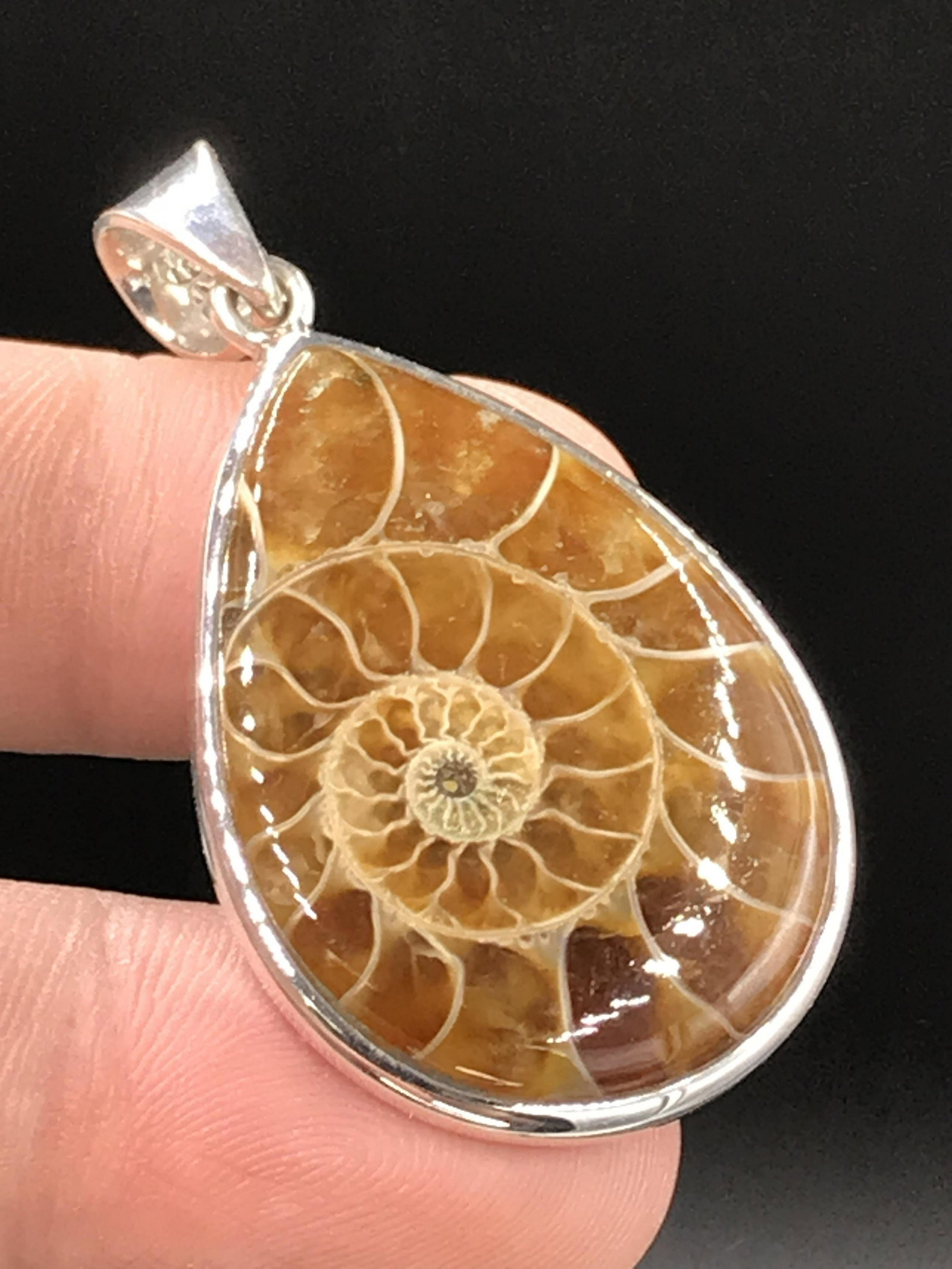 Ammonite, Fossil, Rock, Natural, Collectible, Specimen: Ammonite Pendant Desmonoceras Cretaceous Madagascar 100 M.Y.O. .923 Sterling Silver