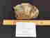 item-103774731=4