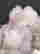 item-103774872=5