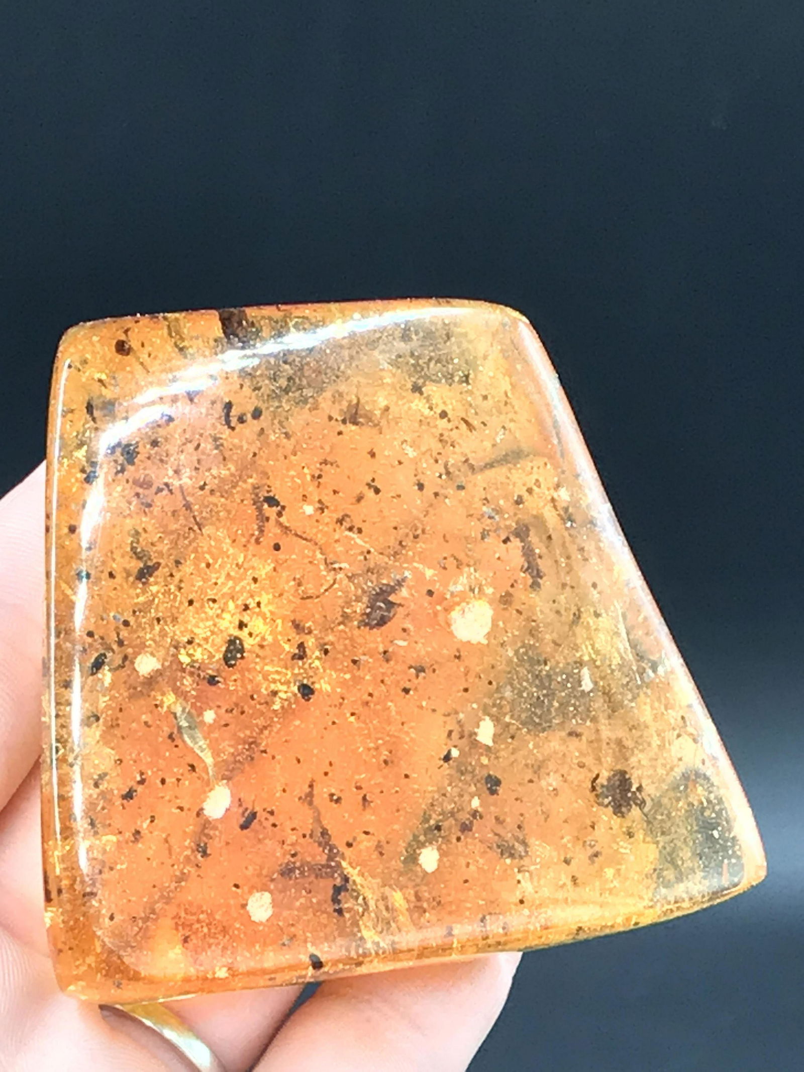 Amber, Fossil, Natural, Collectible, Specimen (1 of 5)