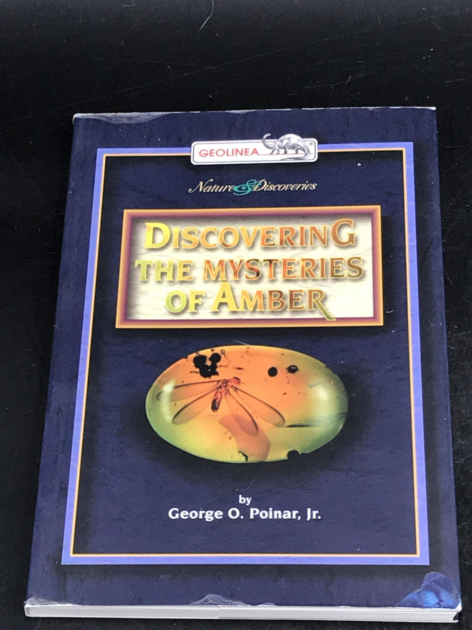 Amber, Fossil, Natural, Collectible, Specimen (1 of 4)