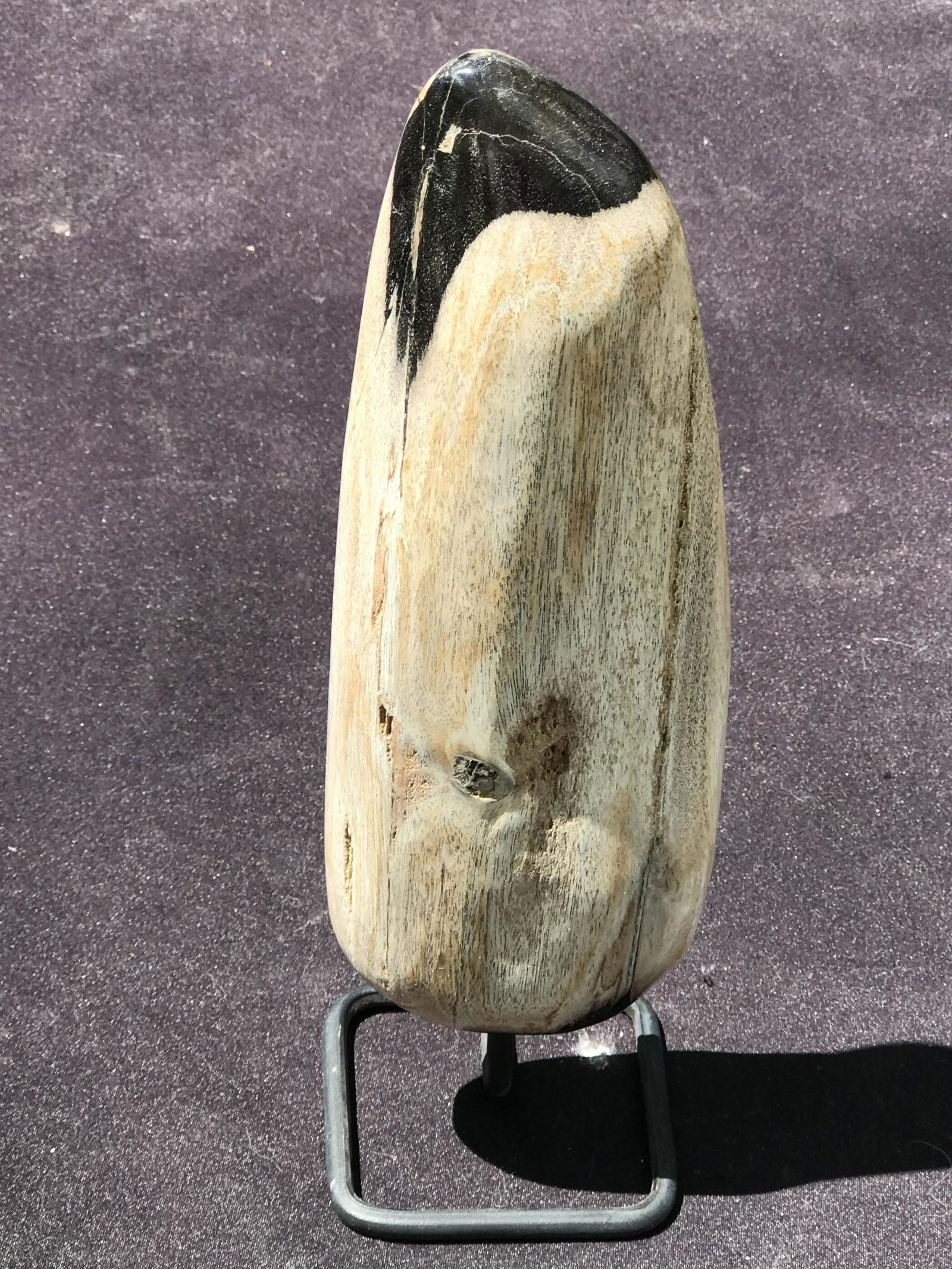 Petrified Wood, Fossil, Rock, Natural, Decor, (1 of 4)