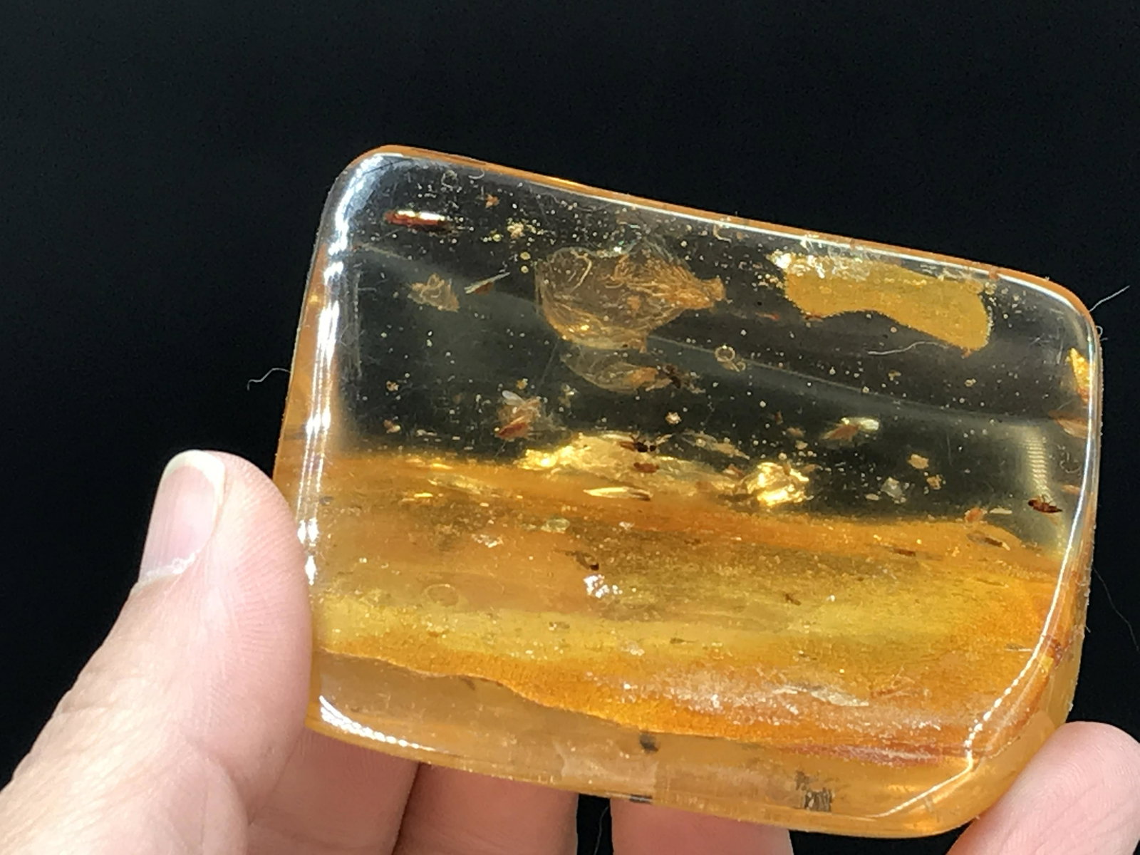Amber, Fossil, Natural, Collectible, Specimen: Amber, Fossil, Natural, Collectible, Specimen
