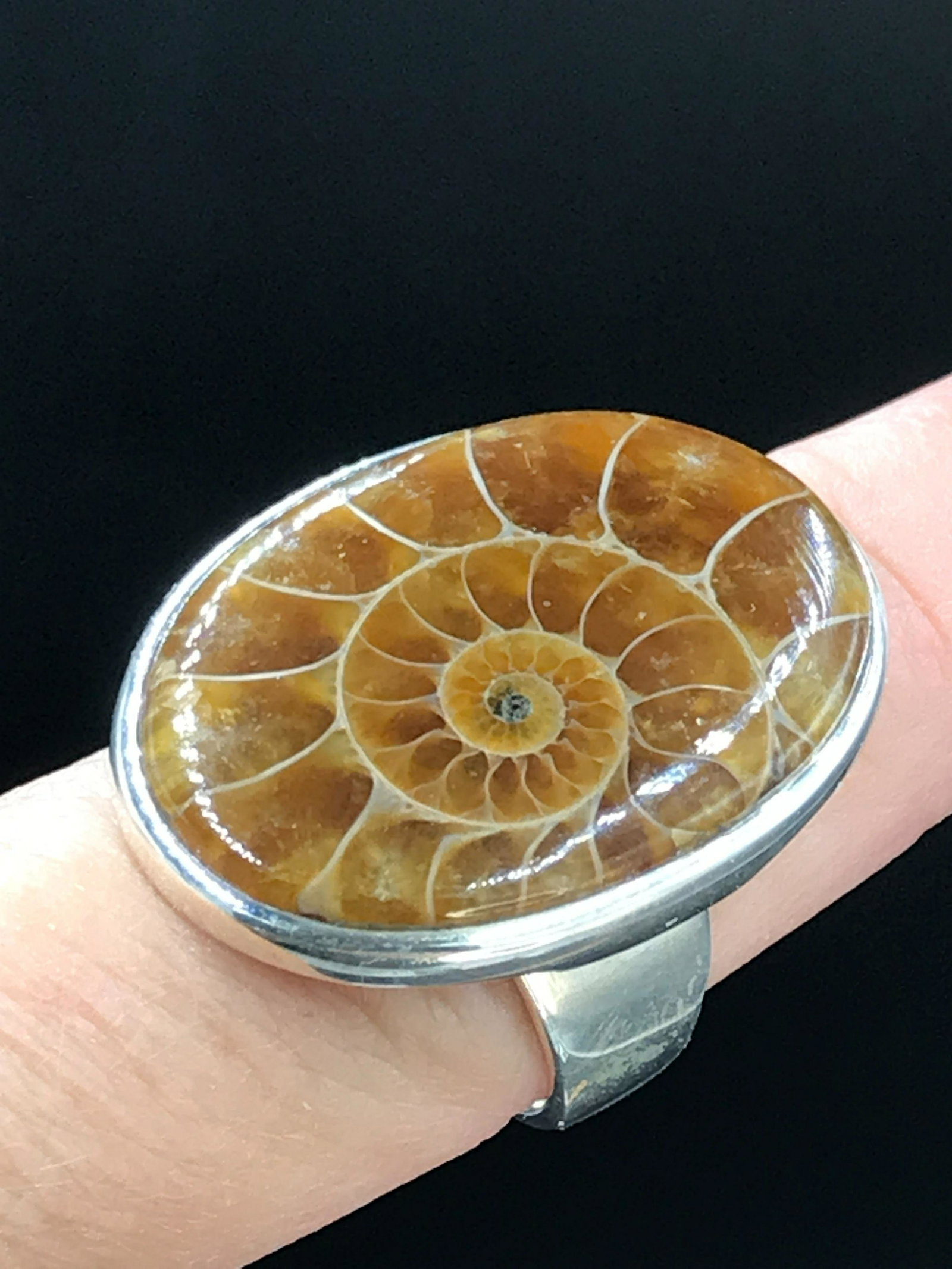 Ammonite, Fossil, Rock, Natural, Collectible, Specimen: Ammonite Sterling Silver Ring Size 7.5