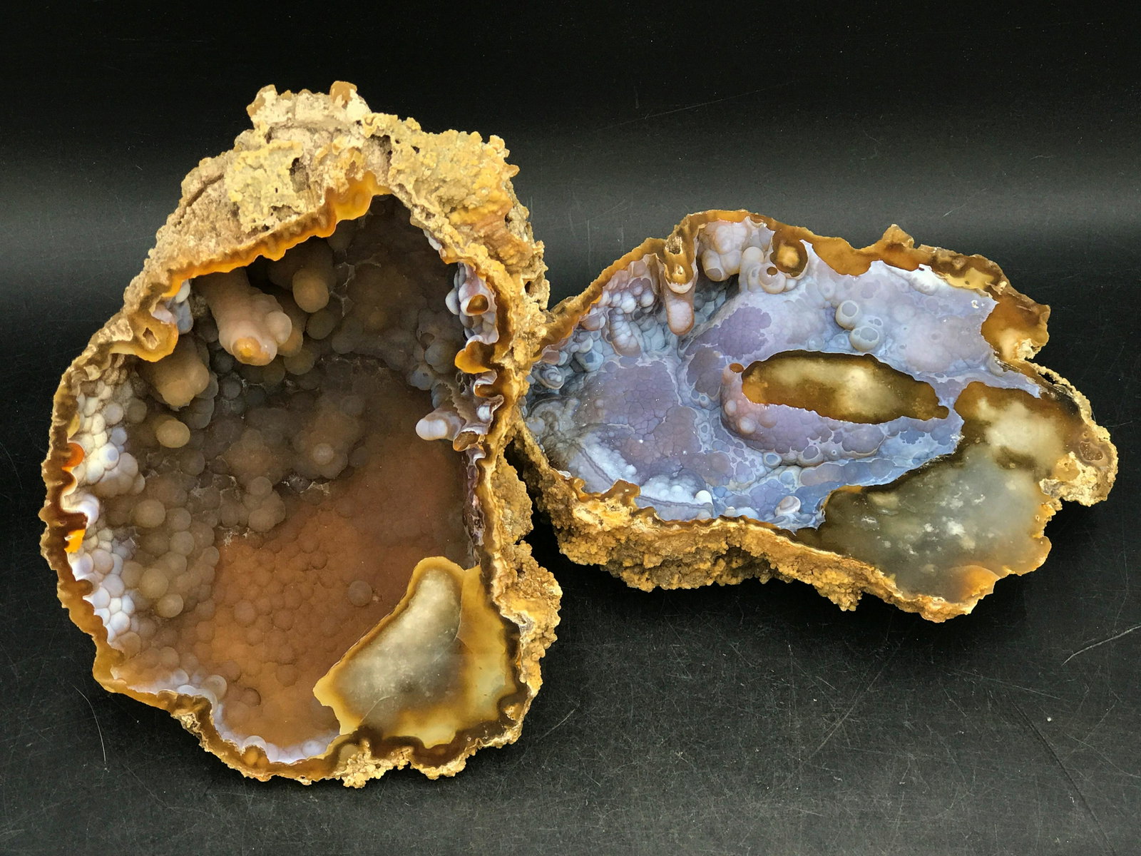 Seashell, Ocean, Beach, Natural, Decor, Collectible,: Fossil Coral Pair Withalacochee River Florida Miocene 3lb 9oz