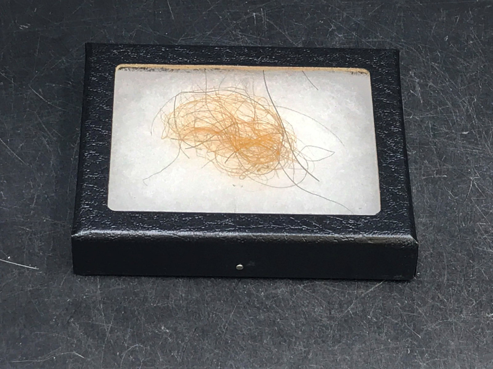 Fossil, Natural, Decor, Collectible, (1 of 3)