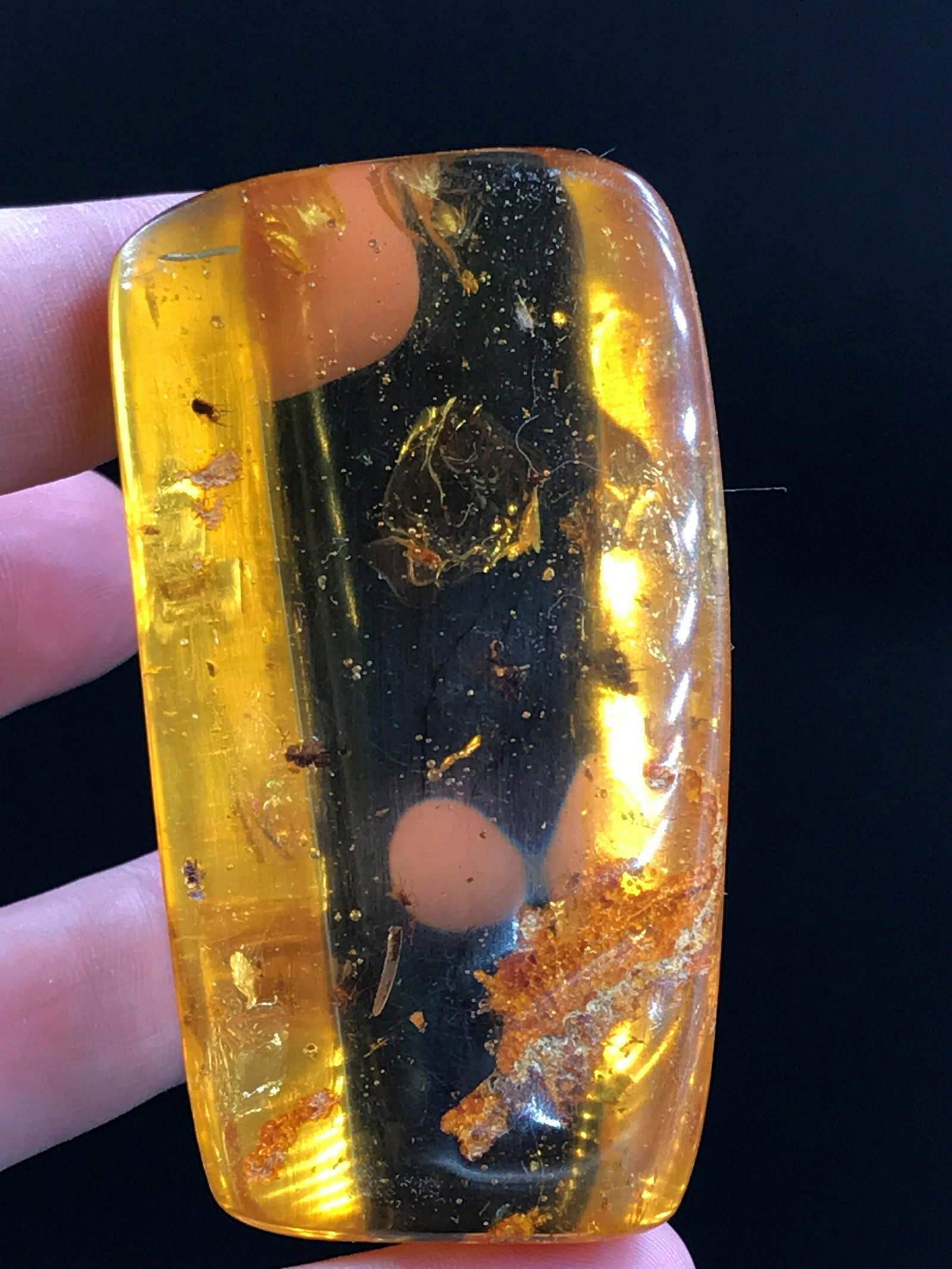 Amber, Fossil, Natural, Collectible, Specimen: Fossil Insects in Amber (Variety Copal) Colombia ~ South America 10 M.Y.O. Miocene