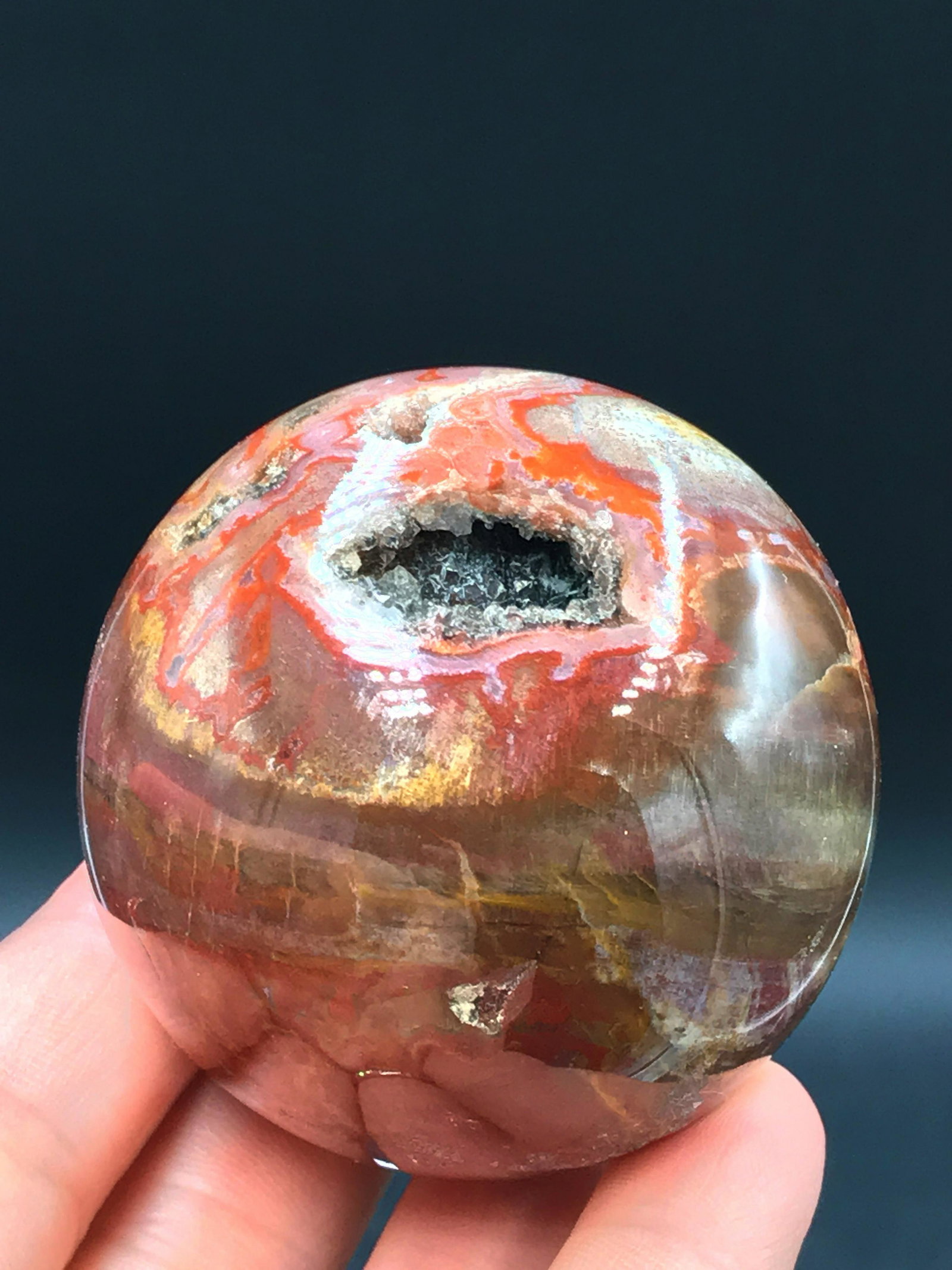 Petrified Wood, Fossil, Rock, Natural, Decor, (1 of 5)