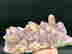 item-106186079=3