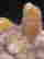 item-106186079=6