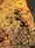 item-108090653=2