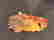 item-108090653=3