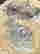 item-108090705=3
