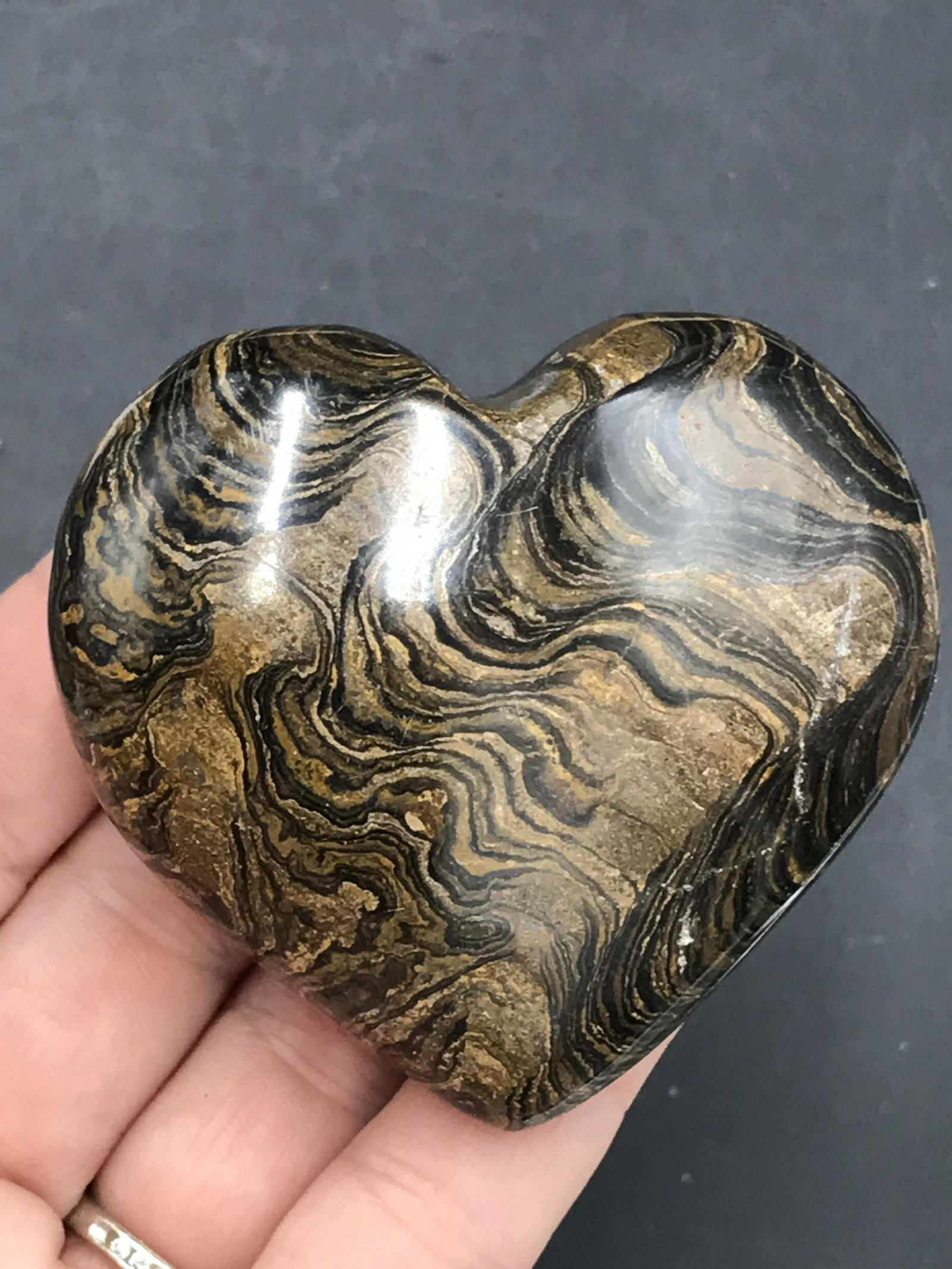 Rock, Crystal, Natural, Collectible, Carving, Heart: Fossil Algae Stromatolite Heart Carving 1.7 B.Y.O.
