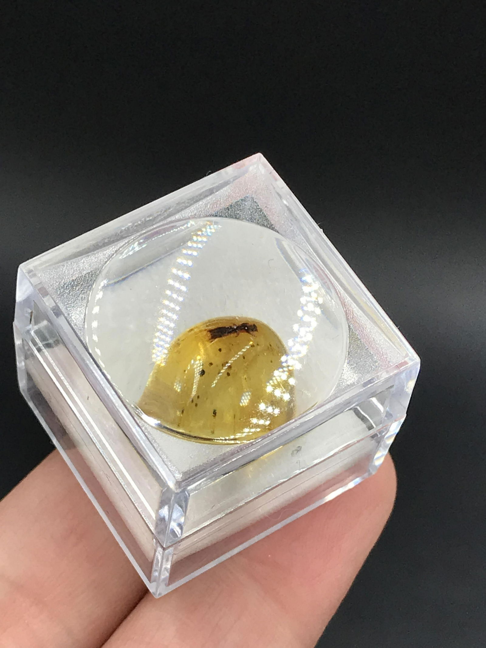 Amber, Fossil, Natural, Collectible, Specimen: Baltic Amber w/Insect Inclusion in Magnifier Box Lithuania .4g