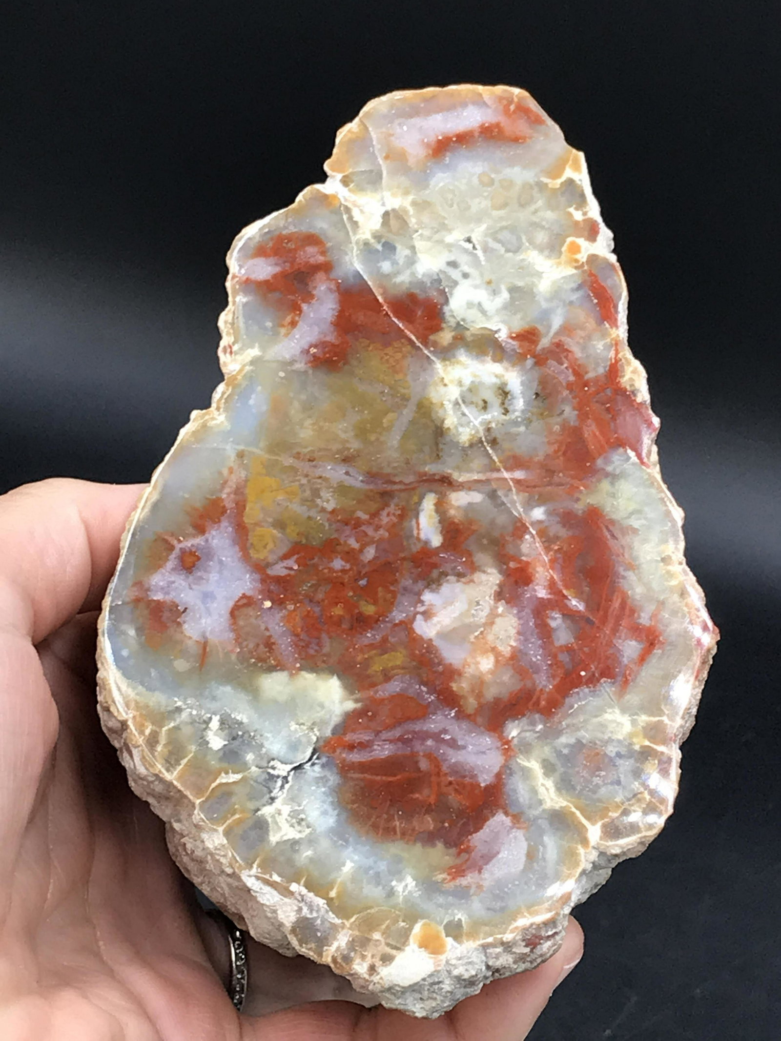 Rock, Crystal, Natural, Collectible, Mineral, Specimen: Coprolite (Fossil Dung) w/Polished Face 2lb