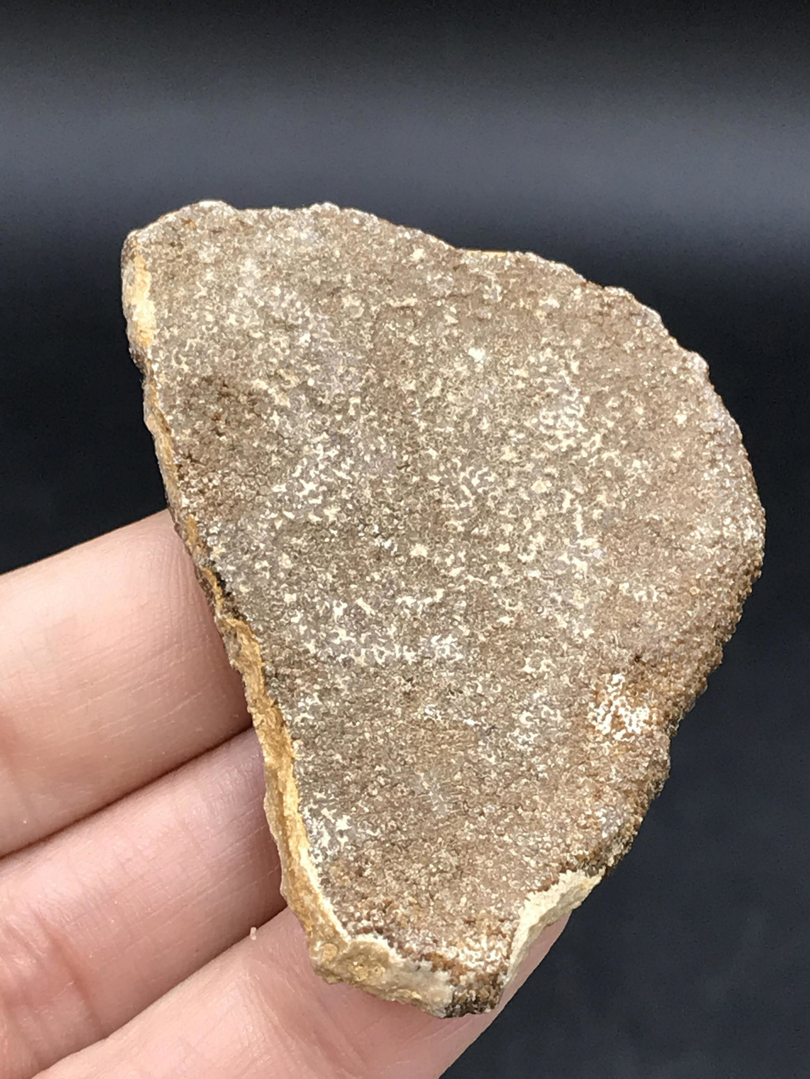 Dinosaur, Fossil, Natural, Collectible, Specimen, Egg: Titawothere Egg Shell Fragment 90 M.Y.O. Patagonia