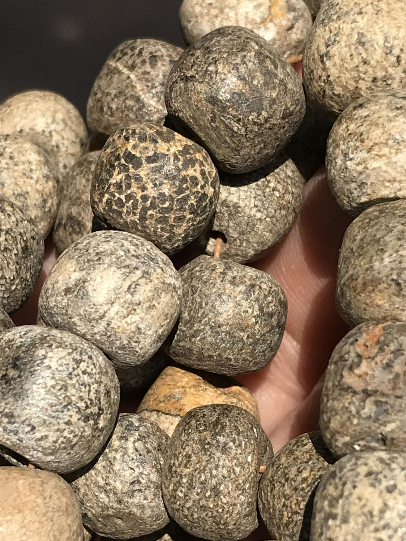 Dinosaur, Fossil, Natural, Collectible, Specimen, Bone: Dinosaur Bone Beads