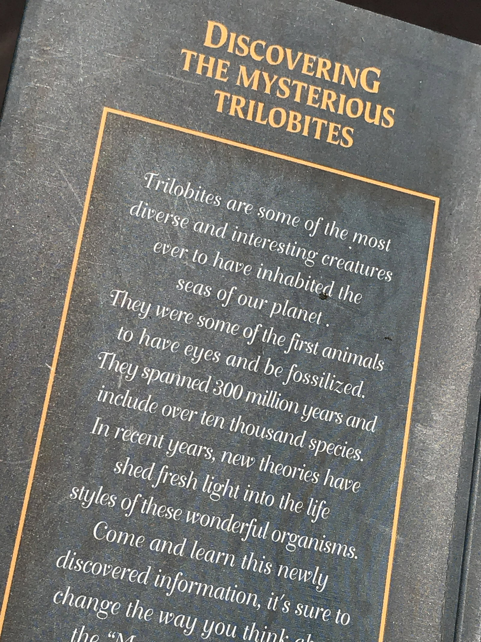 Book, Decor, Collectible, Reference, (1 of 4)