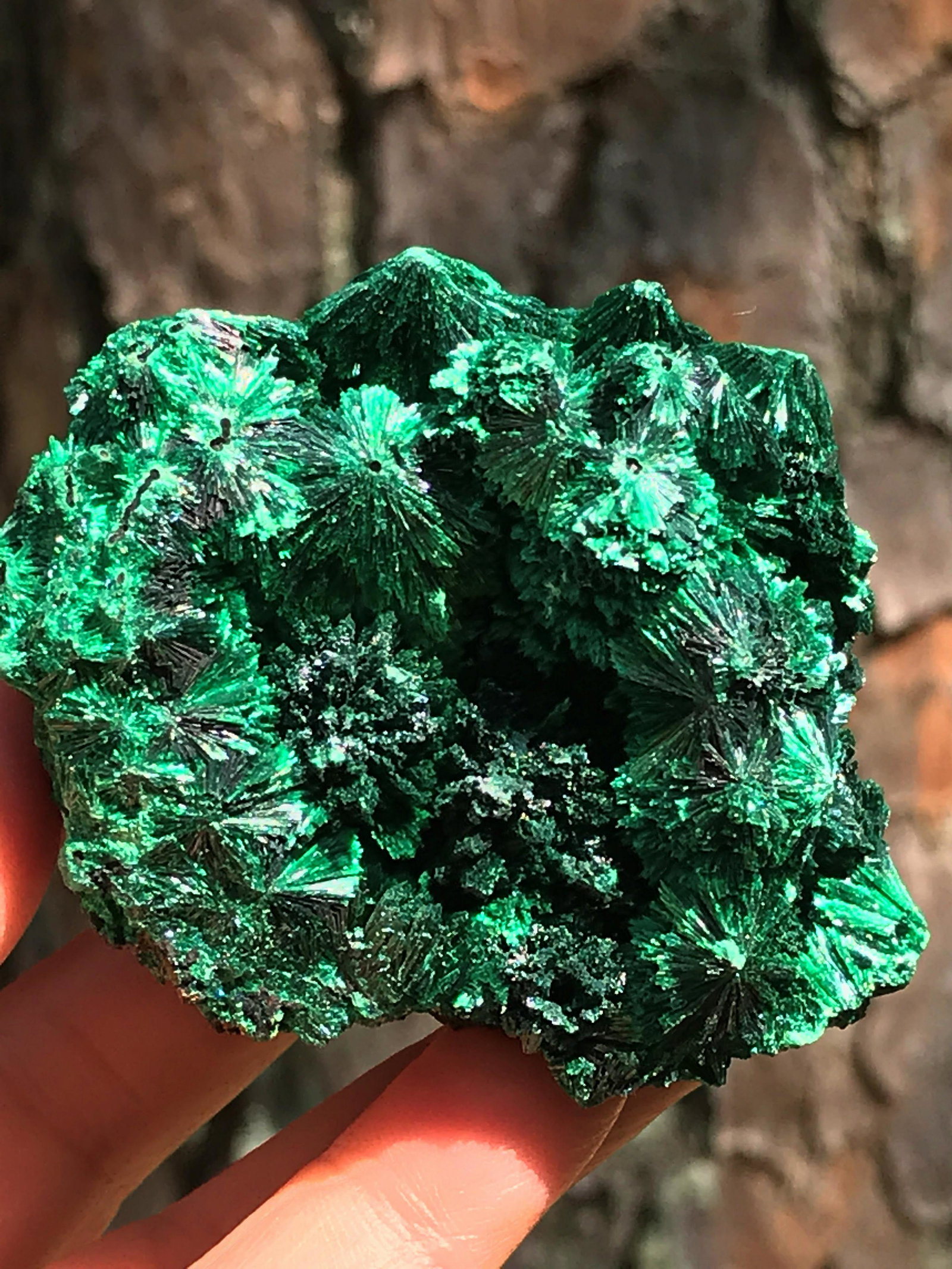 Rock, Crystal, Natural, Collectible, Mineral, Specimen: Malachite Republic of Congo 8oz