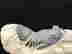 item-112200472=3