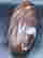 item-112200479=2