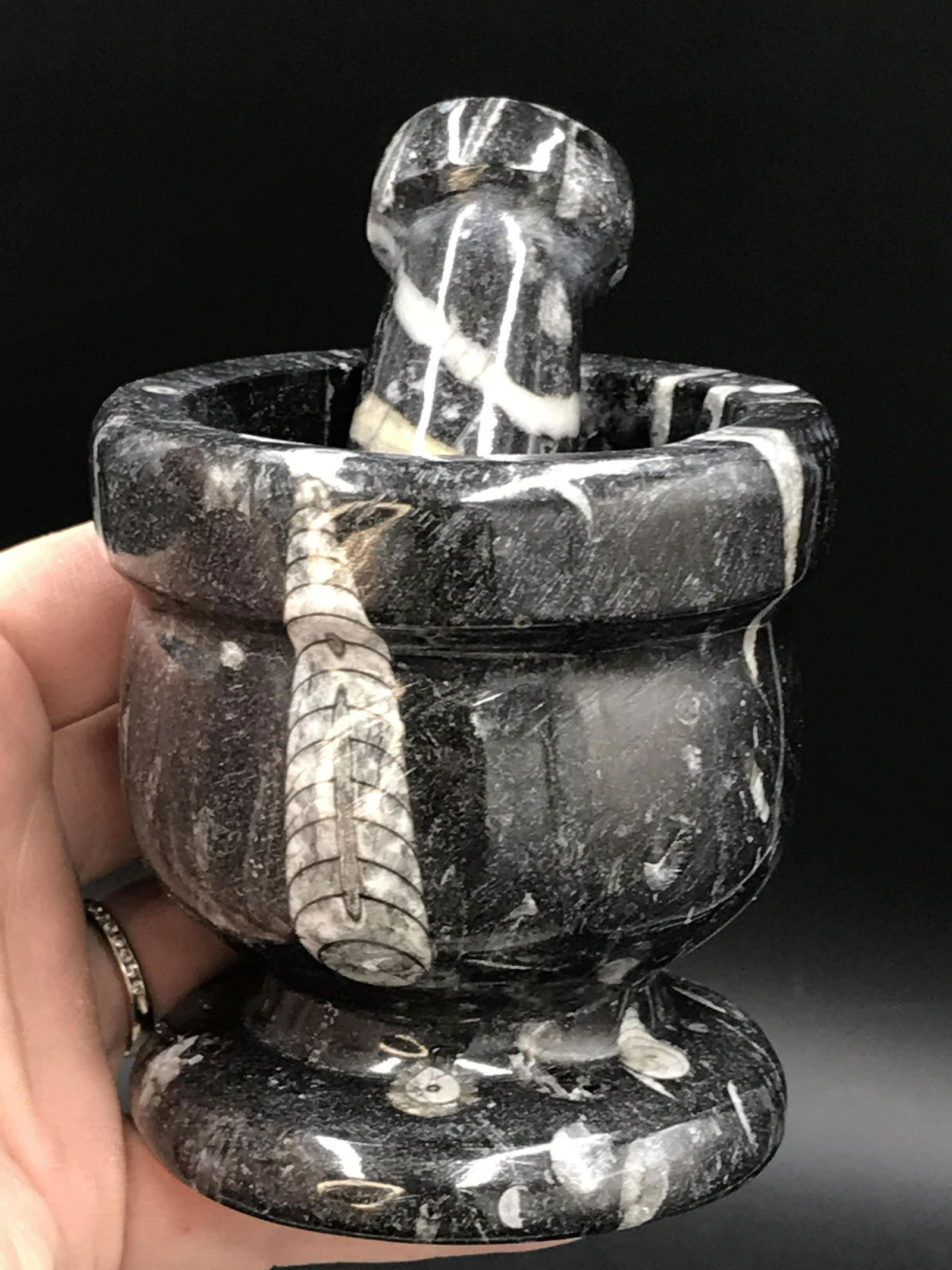 Orthoceras, Fossil, Rock, Natural, Decor, Collectible,: Orthoceras Mortar & Pestle Morocco